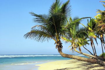5 destinos no Nordeste para curtir o feriado