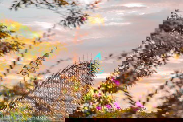 Festival Rock'n Hari: a união entre o rock e a diversão