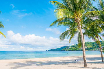 Onde fica Trancoso? Descubra onde é essa praia maravilhosa!