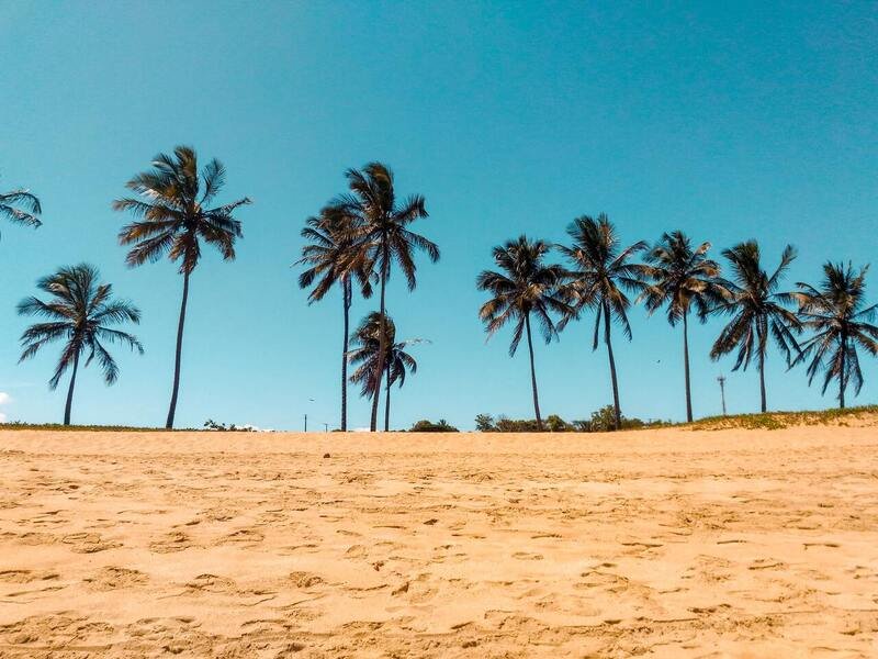 Praia do Coqueiro: encante-se com essa vila no Piauí