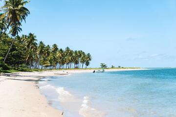 Praia dos Carneiros – Como chegar, o que fazer e muito mais