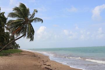 Praia do patacho: veja onde fica, como chegar e mais