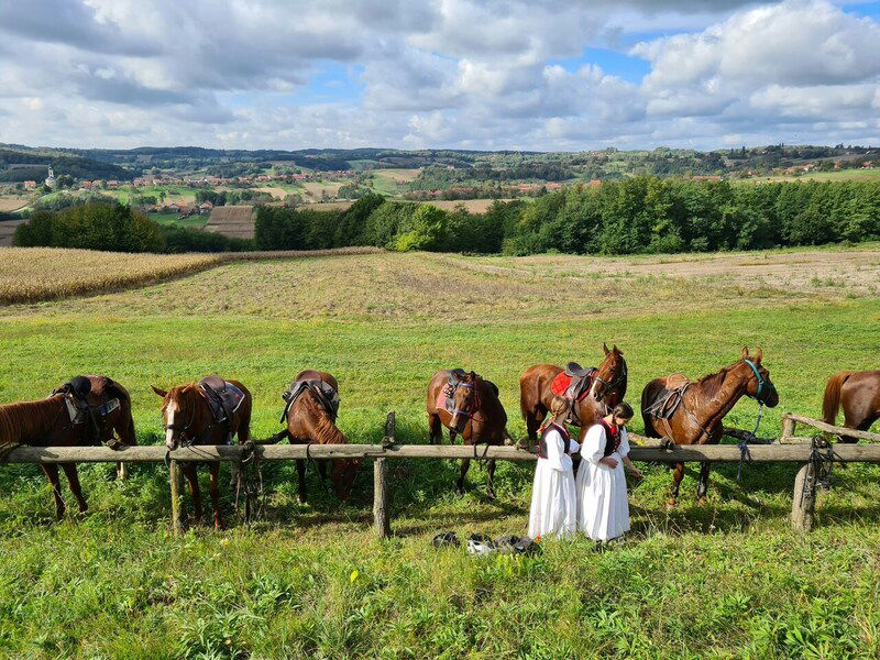 Turismo Rural em Santa Catarina: o que fazer e onde ficar