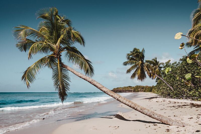 Conheça a Praia de Mangue Seco: translado, hospedagem e mais