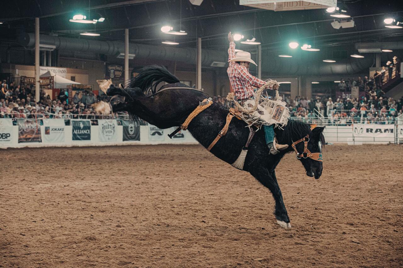 O que você não sabe sobre a Festa do Peão de Barretos - Jeito de Cowboy