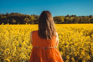 Primavera no Brasil: Destinos floridos que vão te encantar