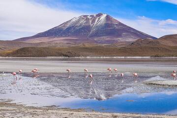 Turismo na Bolívia: Documentos, clima, pontos turísticos e mais