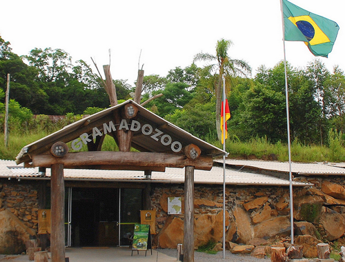 Gramadozoo: conheça o zoológico inovador em Gramado