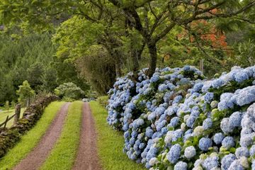 Caminhe pelas belezas e atrações de Gramado!