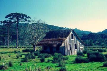 Serra Gaúcha: uma viagem com beleza e cultura