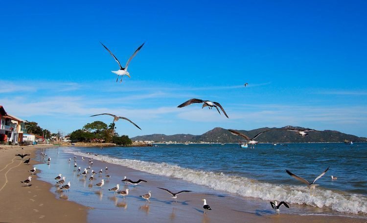 Conheça as melhores praias de Bombinhas, Santa Catarina