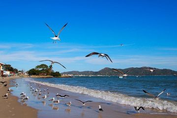 Conheça as melhores praias de Bombinhas, Santa Catarina