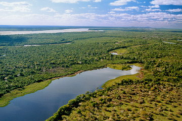 Ilha do Bananal: veja a maior ilha de rio do mundo