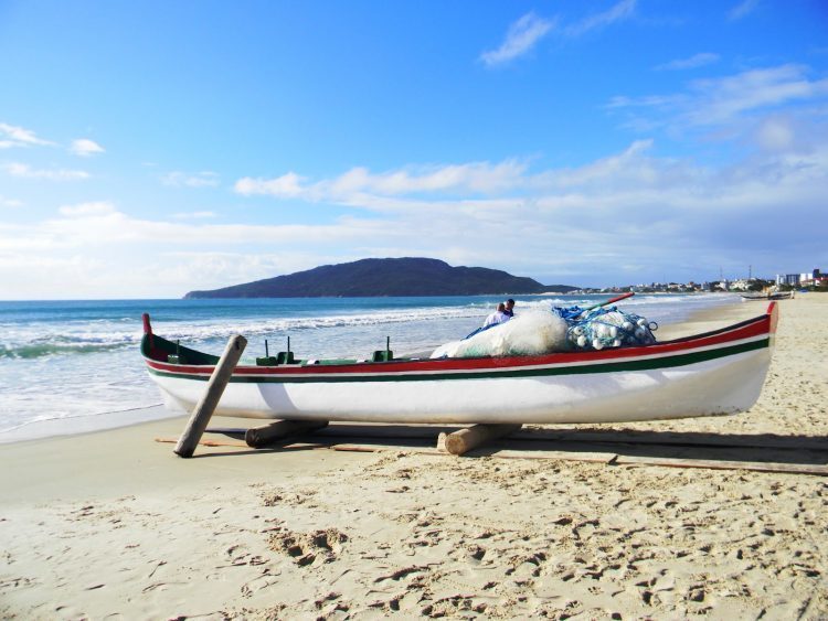 Conheça a tradicional pesca da tainha em Santa Catarina