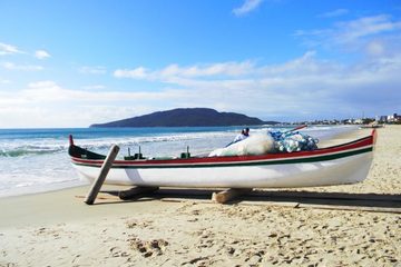 Conheça a tradicional pesca da tainha em Santa Catarina