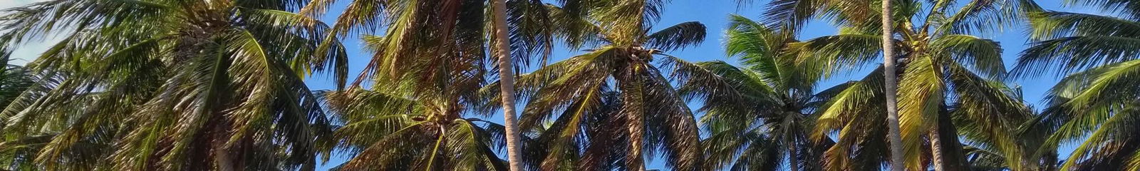 Aluguel de temporada em Rn Praia de Tabatinga