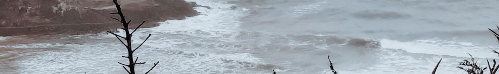 Aluguel de temporada em Praia do Cassino