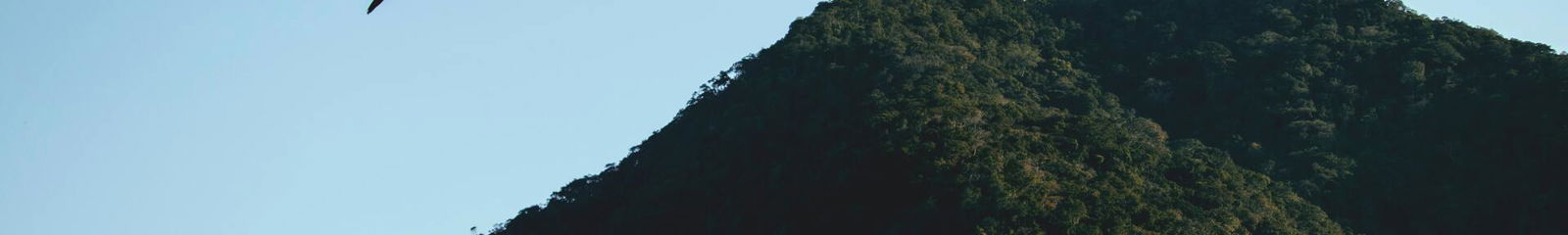 Aluguel de temporada em Bom Jesus dos Perdões