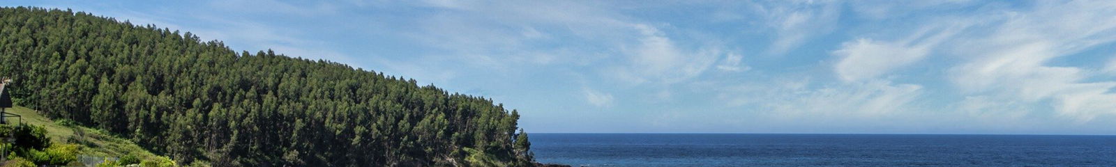 Vacation rental in Salvaterra