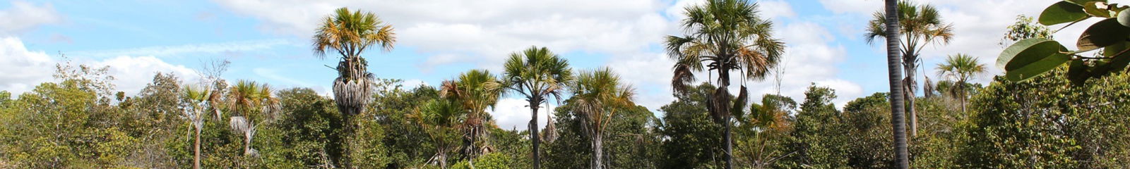 Alquiler de vacaciones en Jardim Maria Tereza