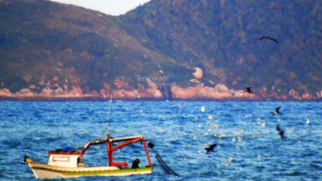 Apartamento para aluguel de temporada em Bombinhas (Praia de Quatro Ilhas)