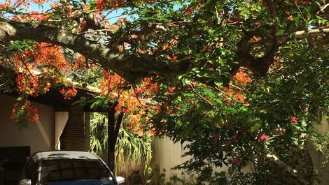 Grande Casa com amplo quintal em Búzios.