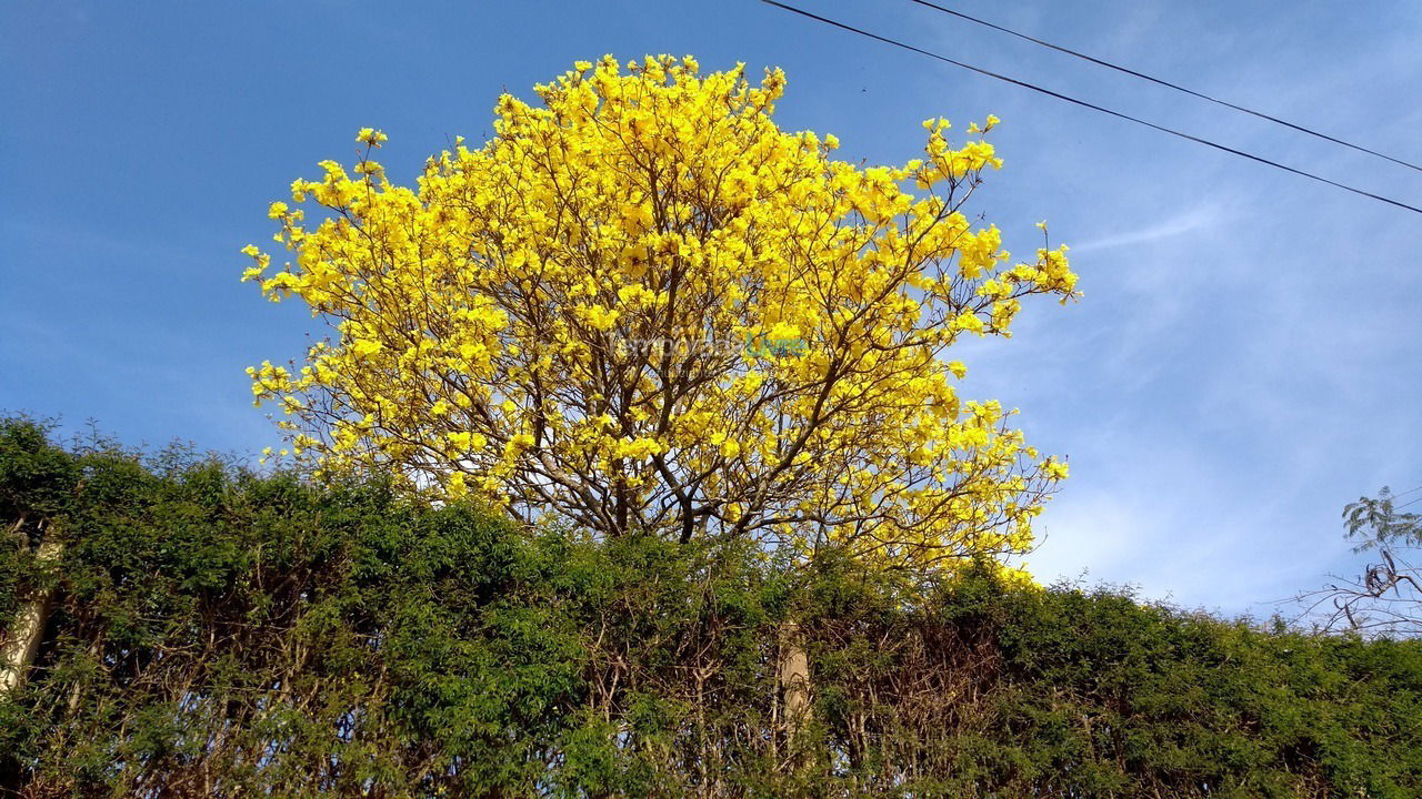 Granja para alquiler de vacaciones em Bragança Paulista (Chácara Por do Sol)