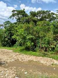 Kitnetes naranja, propiedades en Itamambuca, Ubatuba.