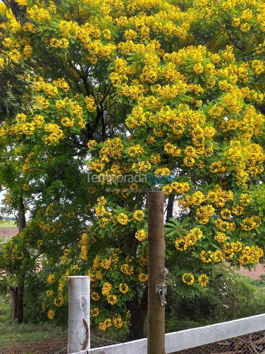 Chácara / sítio para aluguel de temporada em Socorro (Bairro Moquem)