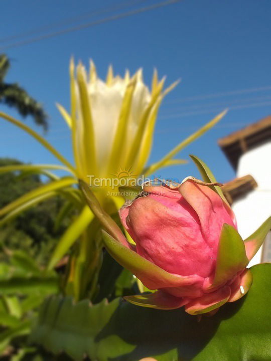 House for vacation rental in São Sebastião (Maresias)