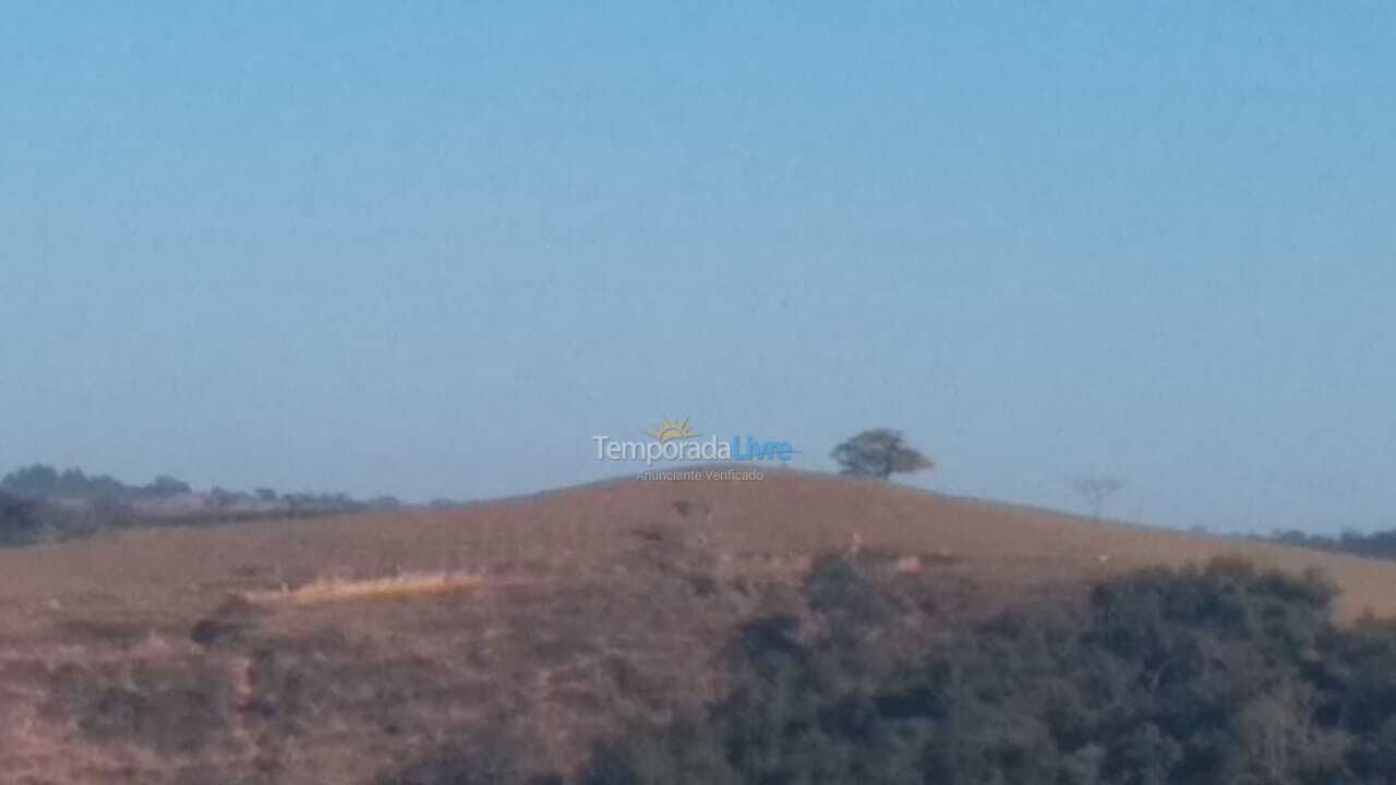 Chácara / sítio para aluguel de temporada em Piumhi (Fazenda Coqueiros)