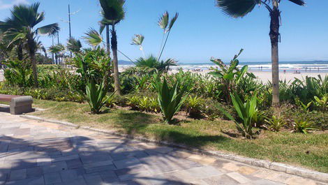 Apartment FOOT IN THE SAND with privileged sea view