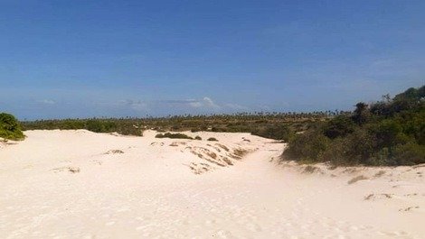Paraíso Escondido: Paz y armonía a 200 metros de la playa