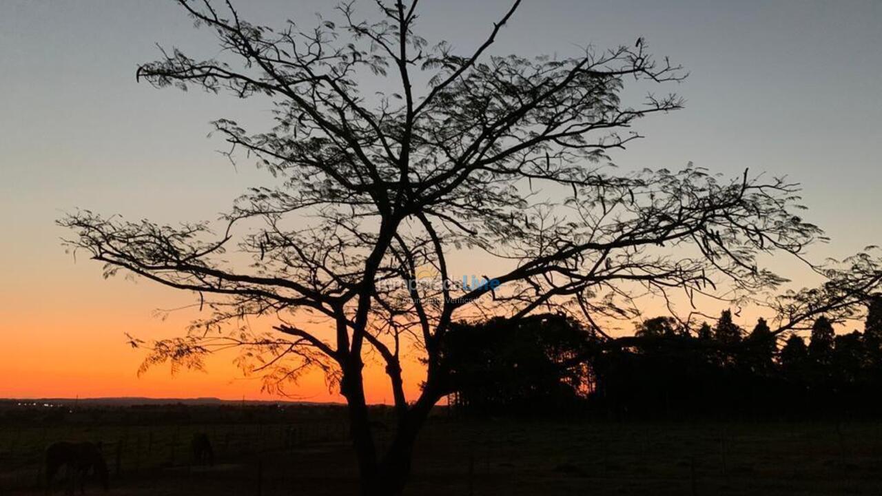 Chácara / sítio para aluguel de temporada em Cesário Lange (Bairro Aleluia)