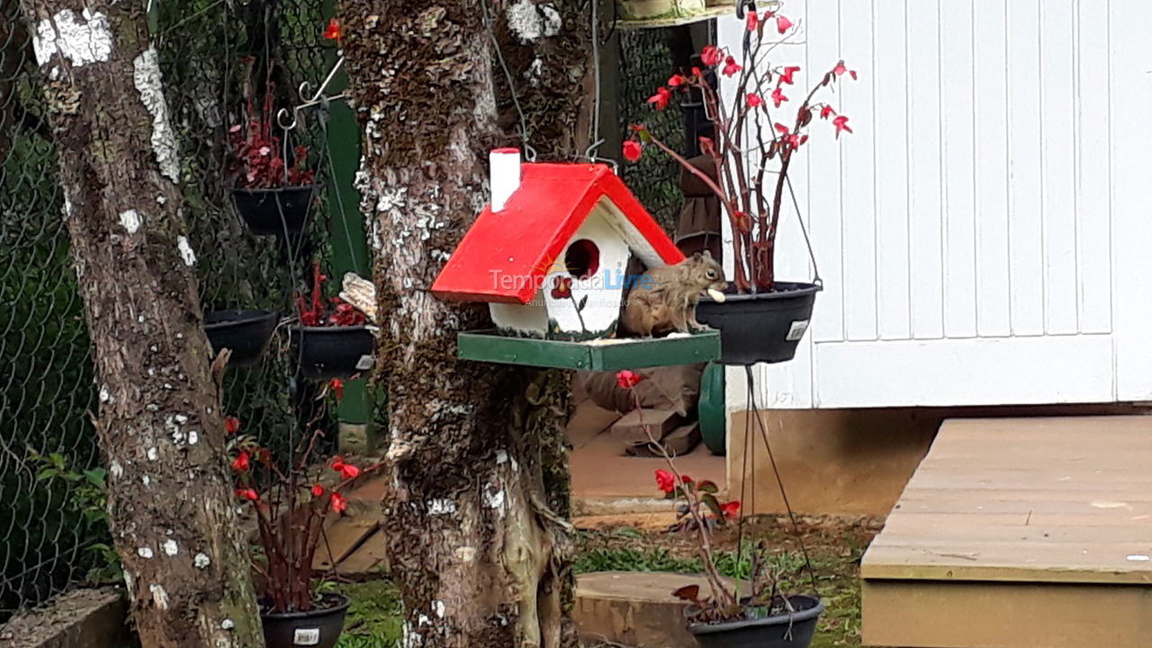 Casa para aluguel de temporada em Monte Verde (Monte Verde)