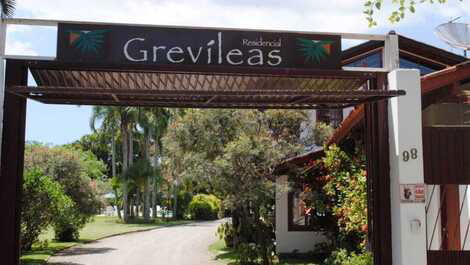 Entrada grevileas