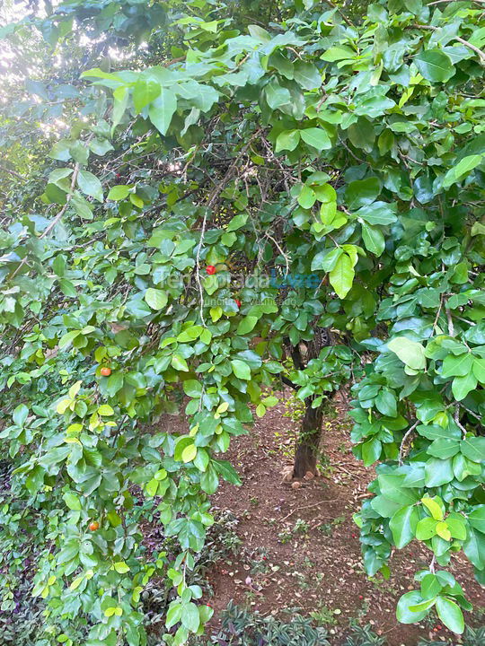 Granja para alquiler de vacaciones em São José da Lapa (Bairro Cachoeira)