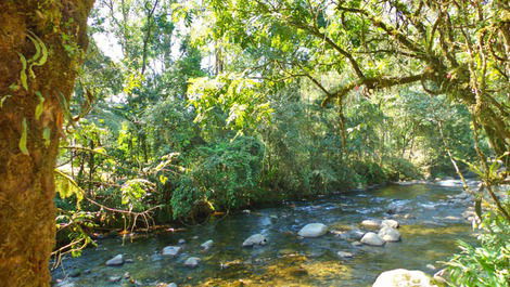 Cantinho da Paz, 7Km de Visconde de Mauá