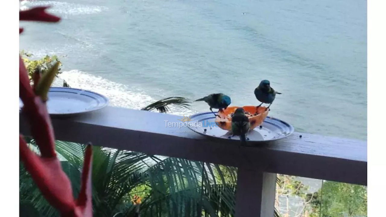 Casa para alquiler de vacaciones em São Sebastião (Barra do Sahy)