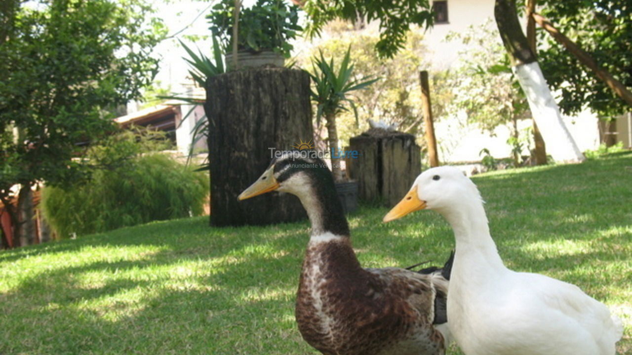 Granja para alquiler de vacaciones em São José da Lapa (Bairro Cachoeira)