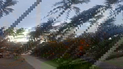 Fim de tarde