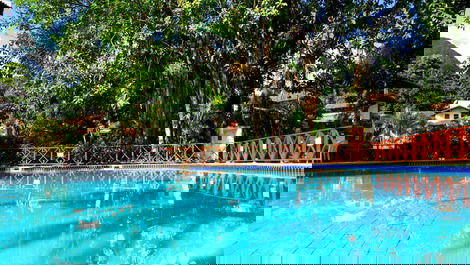 Piscina aquecida