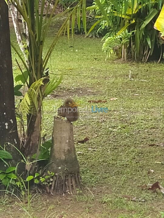 House for vacation rental in Bertioga (Praia de Guaratuba)