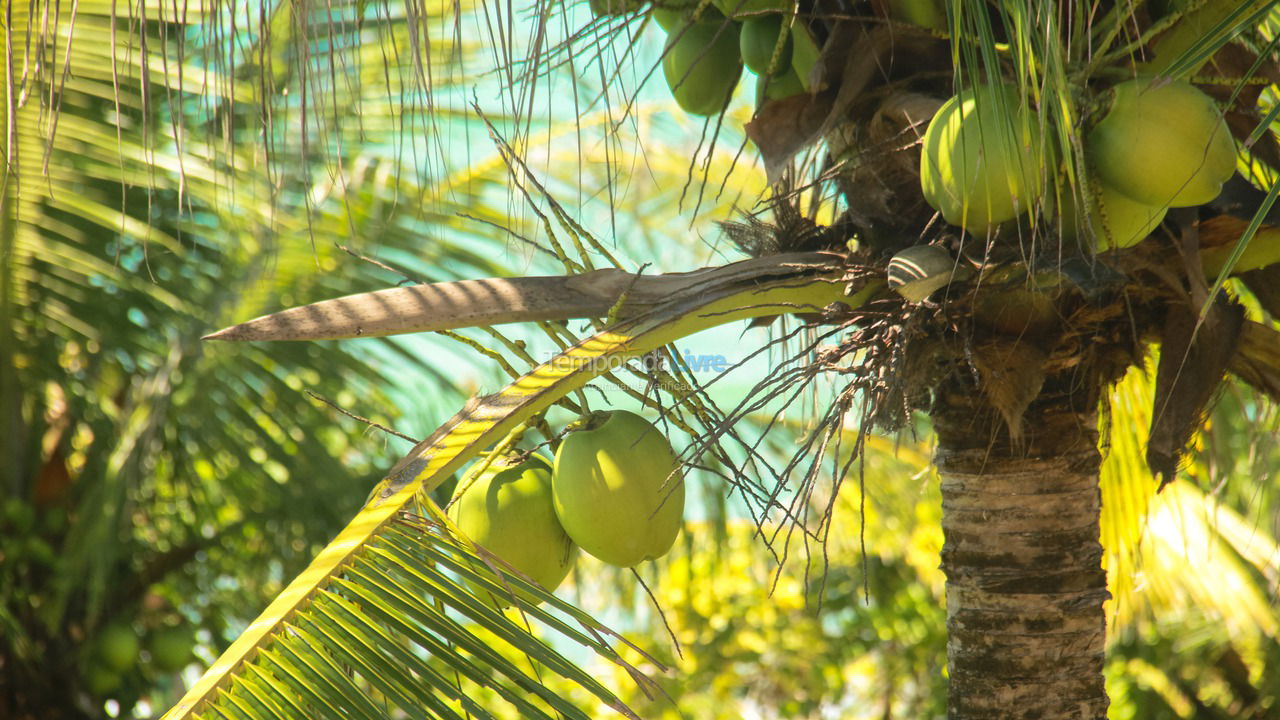 Casa para alquiler de vacaciones em Trancoso (Itapororoca)