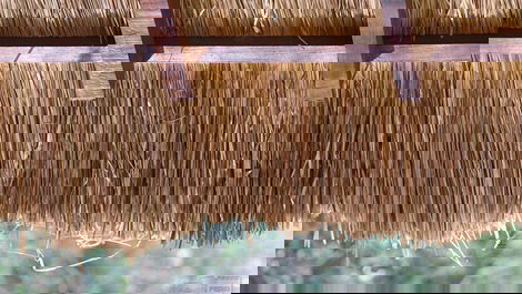 Deck rio