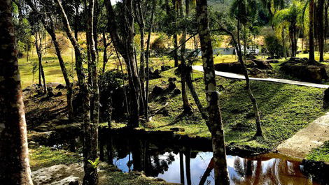 Piscina natural