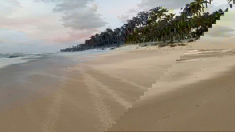 Paradise of jaua