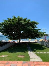 SEA FRONT HOUSE WITH BEAUTIFUL LAWN IN BOMBINHAS CENTER - SC