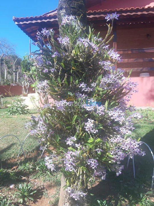 Granja para alquiler de vacaciones em Bragança Paulista (Bragança Paulista)