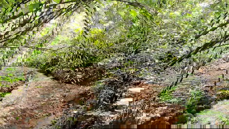 Paraíso da Mantiqueira SFX Santa Bárbara
